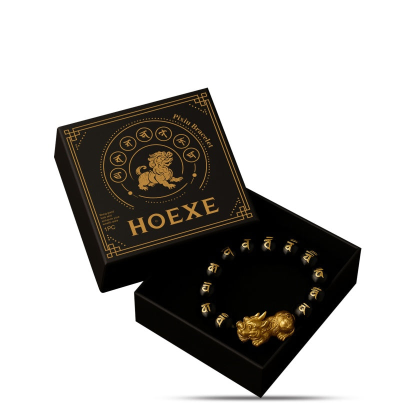 Pi Xiu Bracelet Feng Shui Change Of Luck Add Color Pray For Fortune Spiritual Wealth Protection